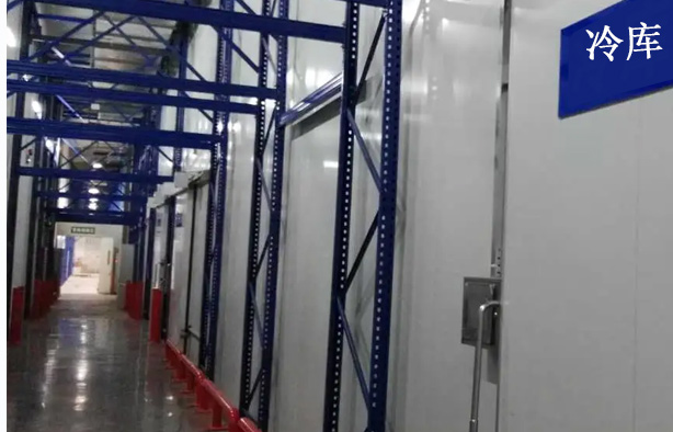 氨濃度在線檢測儀：化工與冷鏈安全的智能哨兵