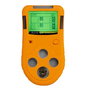 GC310復(fù)合式name氣體檢測儀